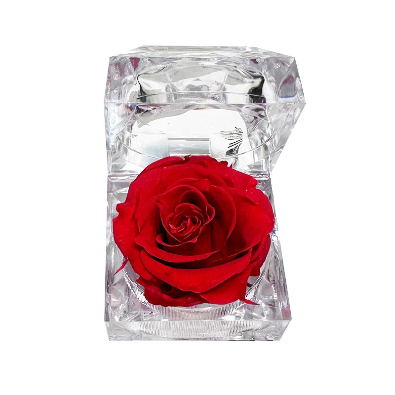 Caja de anillo acrílico transparente de rosa eterna confesión de flores verdaderas Qixiao regalo de día de San Valentín caja de regalo de anillo de vida eterna