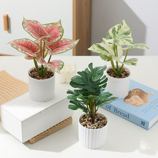 Simulated Plant Potted Pepper Mint Colorful Leaf Taro Flower Potted Small White Bucket Six-Leaf Potted Home Decoration Ornaments