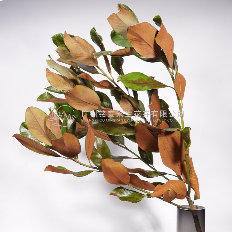 [Immortal Rubber Leaves] Autumn Leaves, Branches, Leaves, Dried Flowers, Flower-arranging Materials, Model Room, Living Room, Decorative bouquet