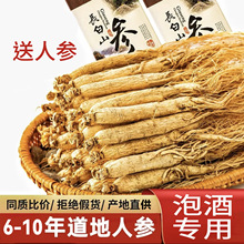 品质正宗长白山人参野生参生晒林下白参药材枸杞泡酒专用人参泡酒