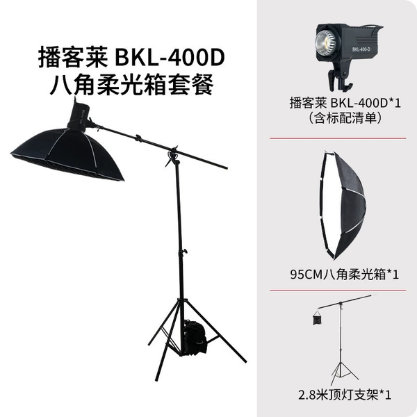 400D monochrome + octagonal soft box + metal cross arm ceiling light stand