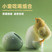 仓鼠陶瓷水壶饮水器金丝熊喝水壶樽小鸡喂食器食槽食盆喂水器用品