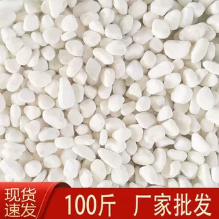 100斤白石子白石头造景白色鹅卵石景观庭院铺路铺地花园阳台装饰