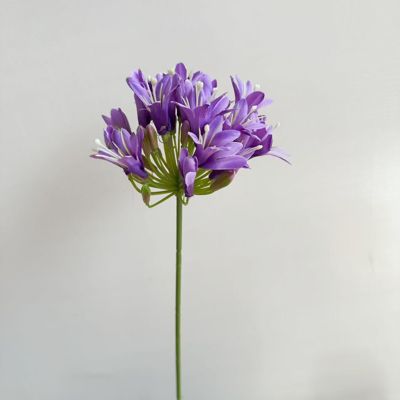 밝은 보라색