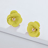 Fashionable accessory, spray paint, earrings, European style, wholesale, flowered