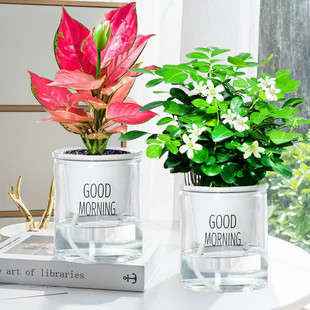 ����������ֲ���ļ��_�k���҃�����������ǧ���۾Gֲˮ���辰ˮ�B