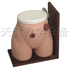 ��������g�o��ģ���o������Ӗ��ģ���t�W�o��ģ�Mģ��