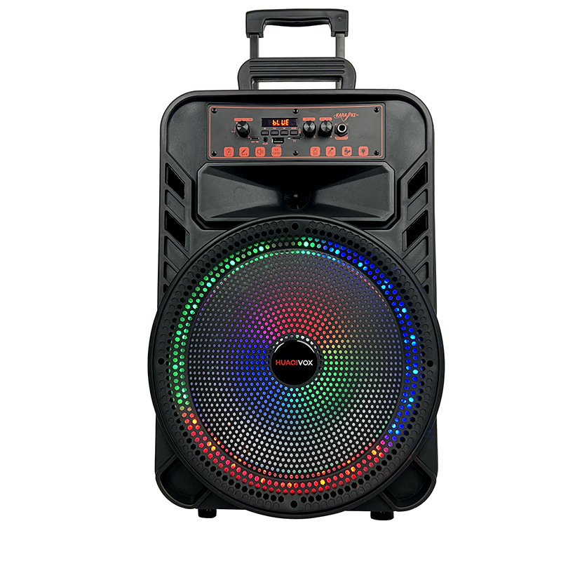 12-inch 20W portable speaker for store promotions, Bluetooth playback with wired microphone, supports OEM