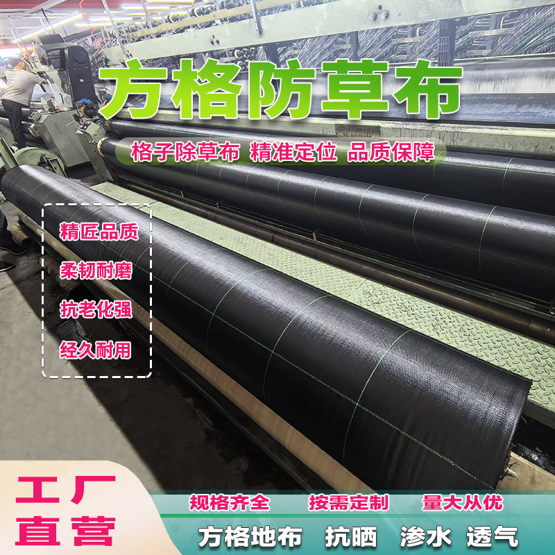 Checkered Herding Cloth Black Green Checkered Anti-Grass Cloth Sulzer Woven Cloth Plain Woven Plaid Field Cloth Anti-Grass Cloth Checkered Herding Cloth Black Green Checkered Anti-Grass Cloth Sulzer Woven Cloth Plain Woven Plaid Field Cloth Anti-Grass Cloth