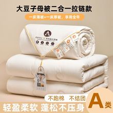 A类大豆纤维被子母被二合一拉链款春秋被冬被棉被加厚保暖被芯