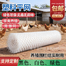 塑料养殖网抗老化阳台防护网跨境加厚塑料菱形网阻燃网养殖网防掉