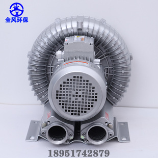 Вентиляционный вентилятор 2,2 кВт вихревой воздушный насос Промышленная центробежная центробежная центробежная высокая напряженность вентиляционного вентилятора с высоким содержанием энергии вагинальный вакуумный насос