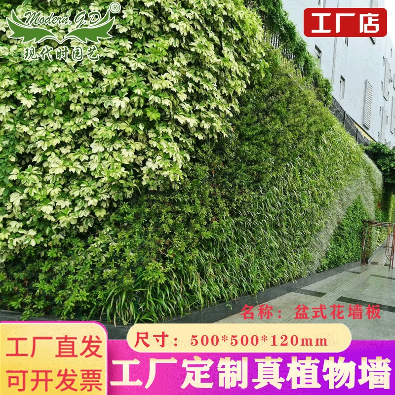 Садоводство трехмерное зеленое растение настенный пейзаж экологическая Цветочная стена пластиковый цветочный горшок простая автоматическая система орошения производственная и маркетинговая интеграция