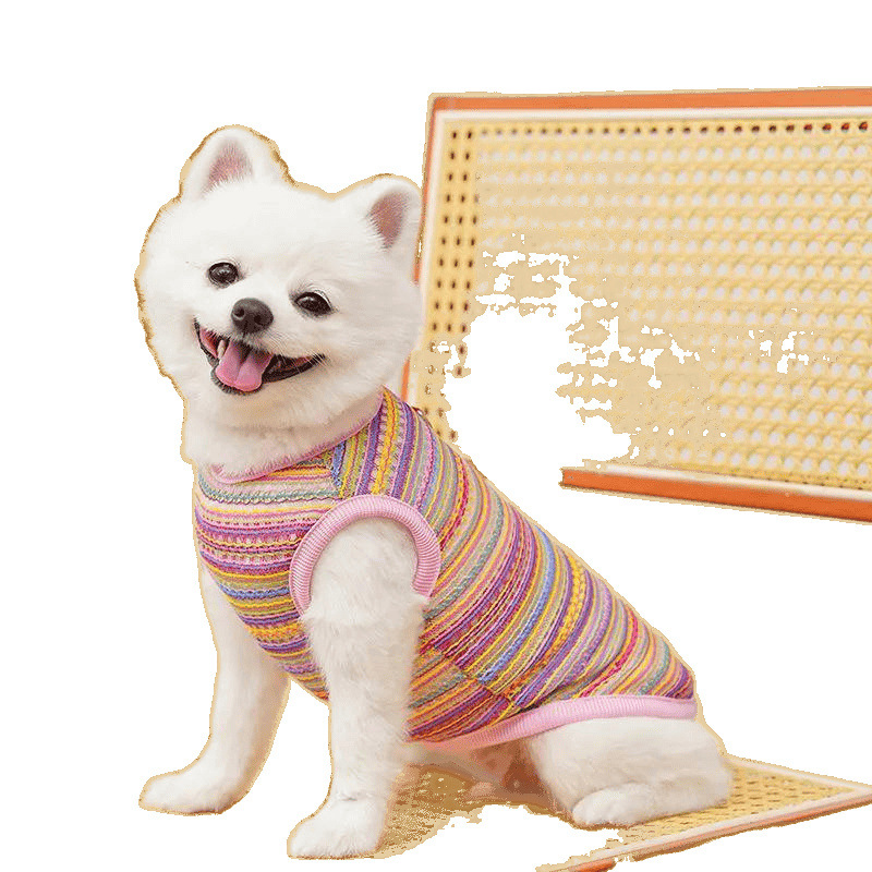 Mascotas de verano nueva ropa de chaleco de color hueco lindo que oso Teddy gato azul perro delgado y corto