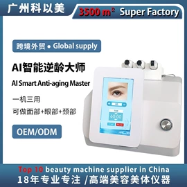 其他美容仪器;电子美容仪;其他按摩器材