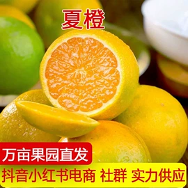其他水果;桃子;番薯类