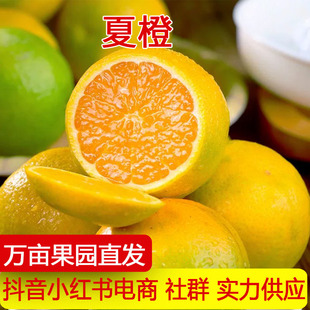 �a��ֱ�l���w�����ĳ����r����ˮ���̲�����ե֭����һ�����l