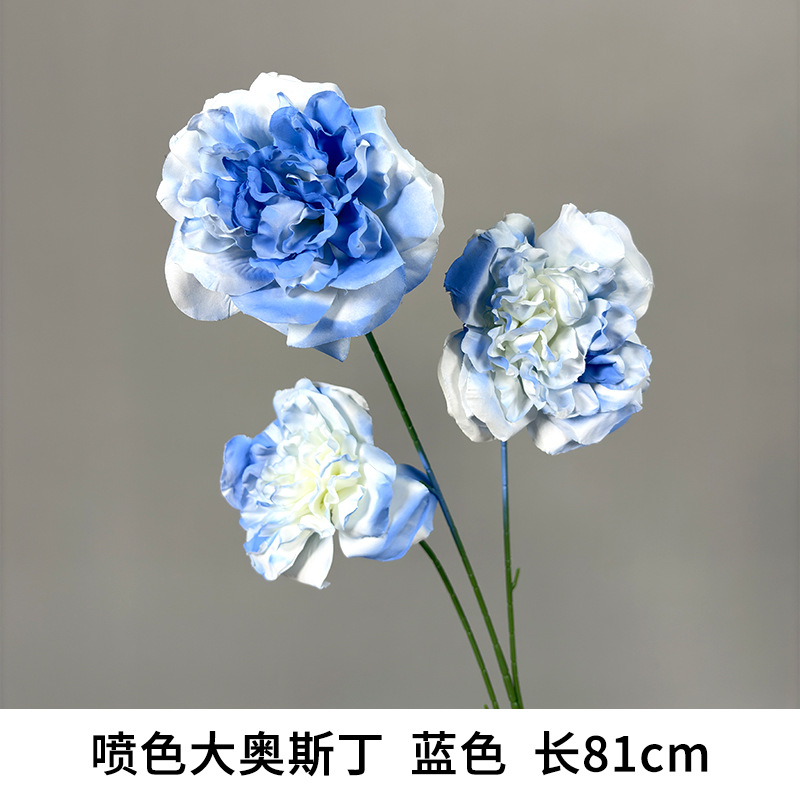 스프레이 컬러 빅 오스틴 블루, 길이 81cm