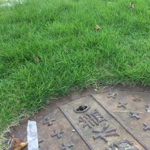 ���²��Ѱ��¹������N�Ӱ�Ľ����Ѱ��²�ƺ�N�����lů���Ͳ�ƺ