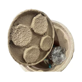 纸浆模塑;其他纸类包装