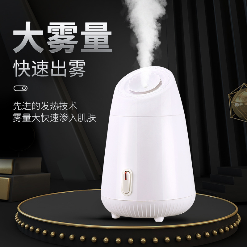 新款出口蒸脸仪热喷蒸脸器脸部毛孔美容仪补水舒缓喷雾器蒸脸器|undefined