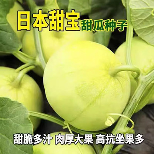 ��������ձ�������������ˮ�������̨�߮a�ļ��׳ɻ����