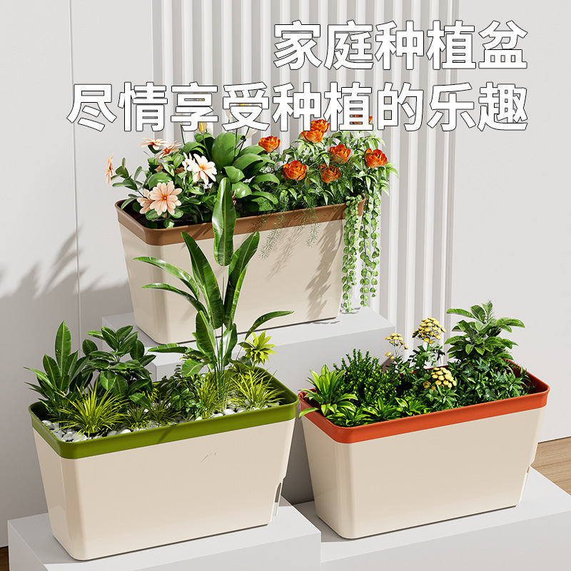 双层控根种菜盆家庭种菜专用箱种多肉花盆长方形懒人自吸塑料花盆|undefined