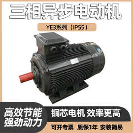 YE2三相异步电动机30KW变频电机YE3风机380V铜线交流YX3 水泵电机