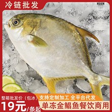 金鲳鱼冷冻大鲳鱼金鲳鱼平鱼海鱼冷冻银鲳鱼水产商用批发顺丰代发