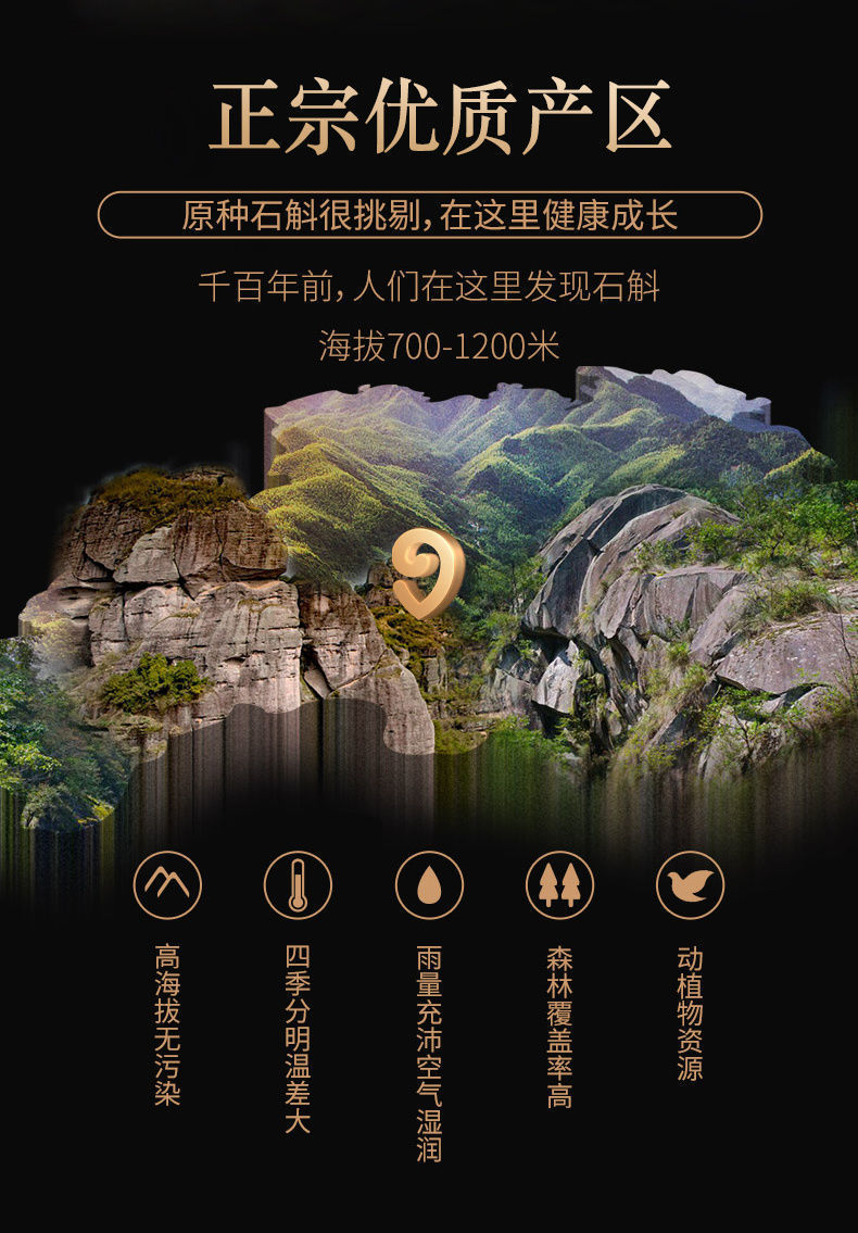 Tie Pi Shi Hu Feng Dou Dried Dendrobium Officinale Stems 500g Yunnan Herb for Soup and Tea specifications
