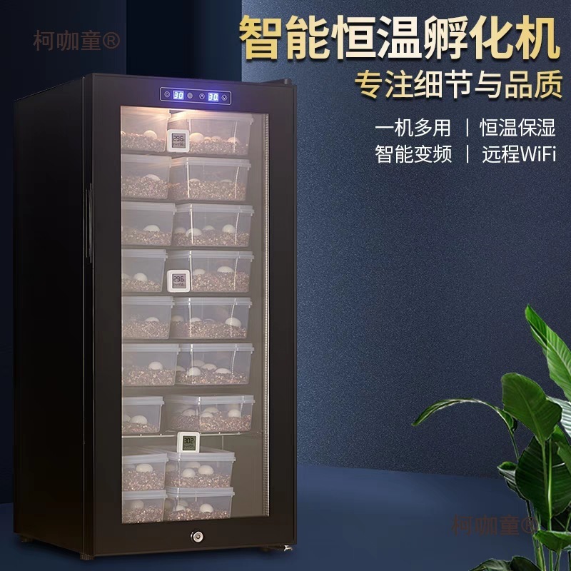 恒温Wiff爬宠孵化柜蜥蜴孵化机器爬虫蛇乌龟蛋鬃狮守宫孵化麦太保
