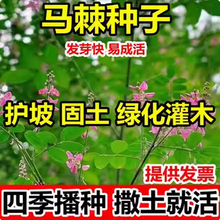 �²��R���N���o�¹����@�־G�����Ѹ��ٹ�·߅�·��o��ľ��ľ�N��