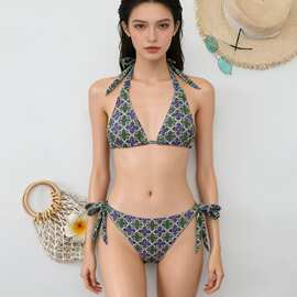 2026外贸欧美新款性感印花露背分体泳衣女跨境系带比基尼葫芦岛
