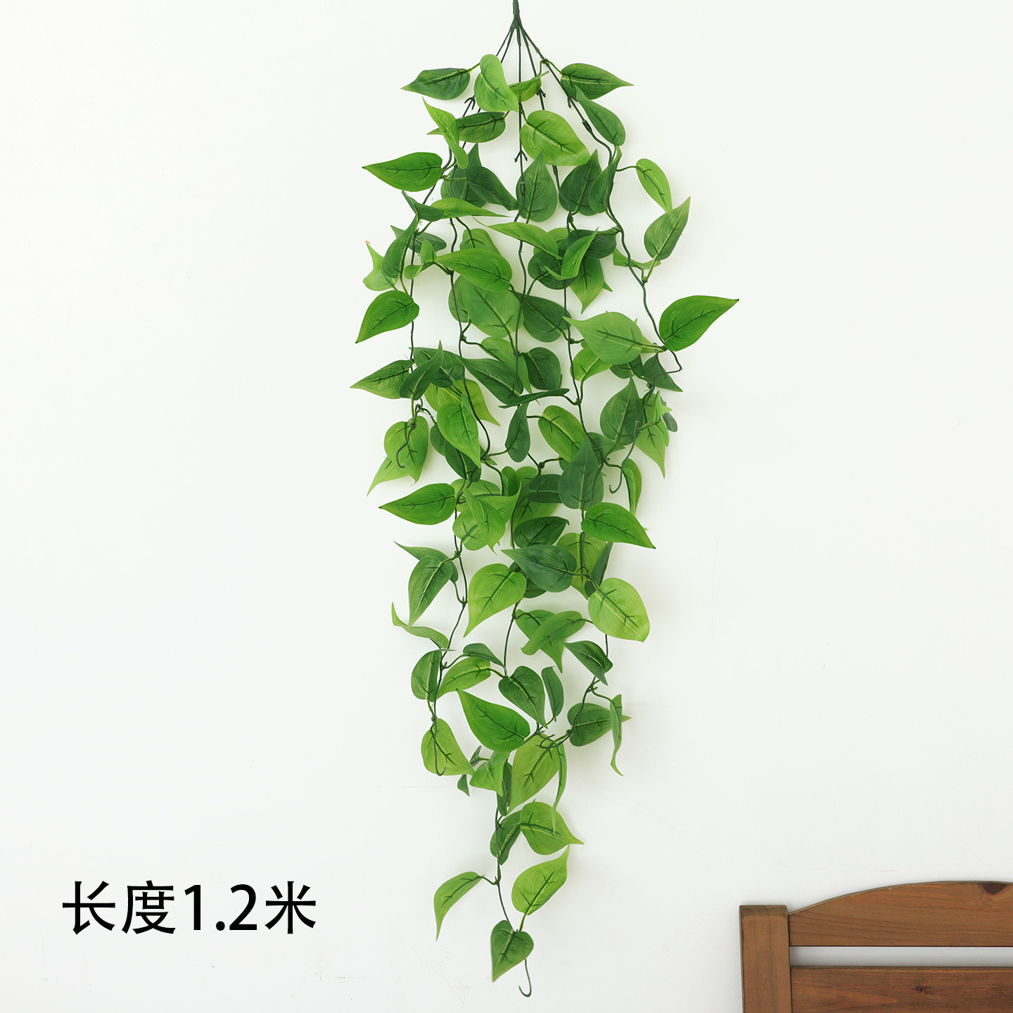 5 fourchettes de plantes araignées collées et 1 bouquet de pothos de couleur unie