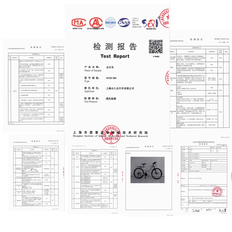 上海永久牌变速自行车成人单车碟刹越野山地车bicycle 山地自行车详情3