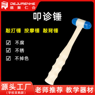 ���n�˽̌W�x����Ƥ�N ߵ�\�N ���N�l������ԭ�� �ƌW���ƽ�