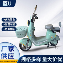 国境を越えた電動自転車の成人代歩電気自動車の日常通勤車は軽やかで長く持続してナンバープレート電気自動車に乗ることができる