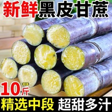 广西黑皮甘蔗新鲜当季水果脆甜多汁应当季甘蔗产地直发一件代发