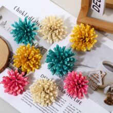 �S��ֱ��ľƬ�� ���s����֥�黨��޹�廨�Ҿ��b�����ɻ����l