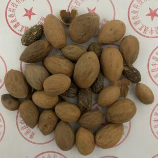 ��ș����� ����� ��Ʒ ��Ӱ��] ����� ľ�����ɽ�� ������