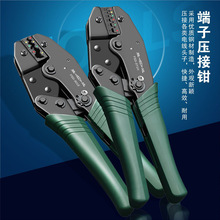 SD/���_���� �䉺�Q �����Q ��ɉ����Q�� ���Ӊ��ӹ��� �����Q