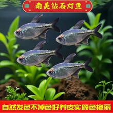 �����ʯ���~�����M�ڟᎧ�^�p�~Ⱥ���~���w�ݸ�С���~���B�ɻ��B