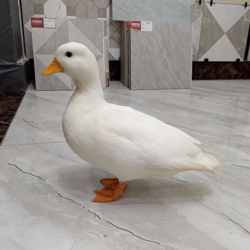 d108c700528232159b91059c0c9c36