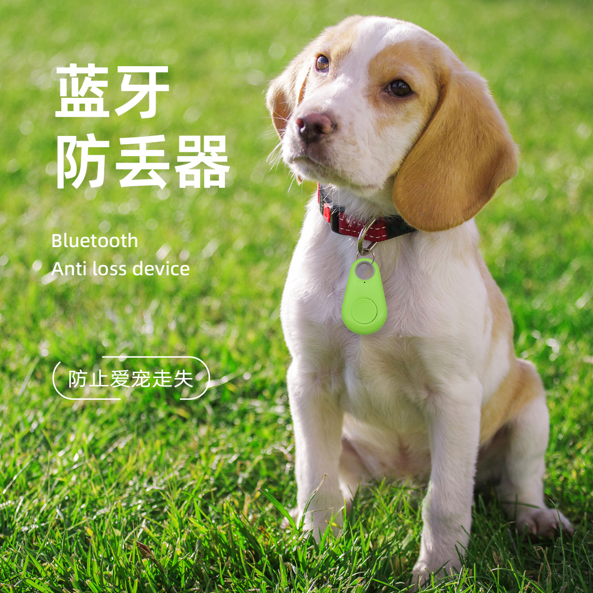 Cat Locator Small Mini Two-way Anti-lost Bluetooth Dog Location Tracker Anti-demolition Pet Smart Wear