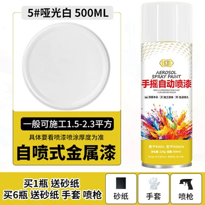 Avtomobil boyası — Light Gray Self-Painting Spray Paint - matte-white-500mlbottle