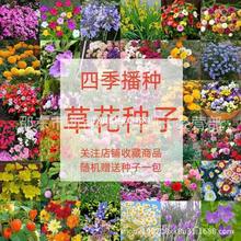 ���ݷN���ļ��_���҃��׻ţ̫ꖻ����N�Ӵ�ȫ���޾��ɹ���̫�