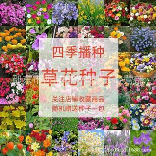 ���ݷN���ļ��_���҃��׻ţ̫ꖻ����N�Ӵ�ȫ���޾��ɹ���̫�