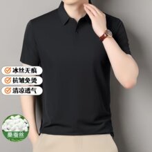 ���Sֱ�N�ļ�����POLO���p����ʿ�̄����e���I����ٴ��\��T����