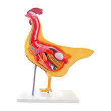 ����̌W�x������ģ���~�u���w�������K��Ѫ���x���xģ��