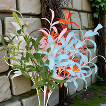 6������ϙ��~���l�����ϙ�֦��c�͏d�[���bٻ��Gֲ�~���쾰